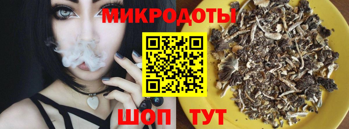 Псилоцибиновые грибы GOLDEN TEACHER Вичуга