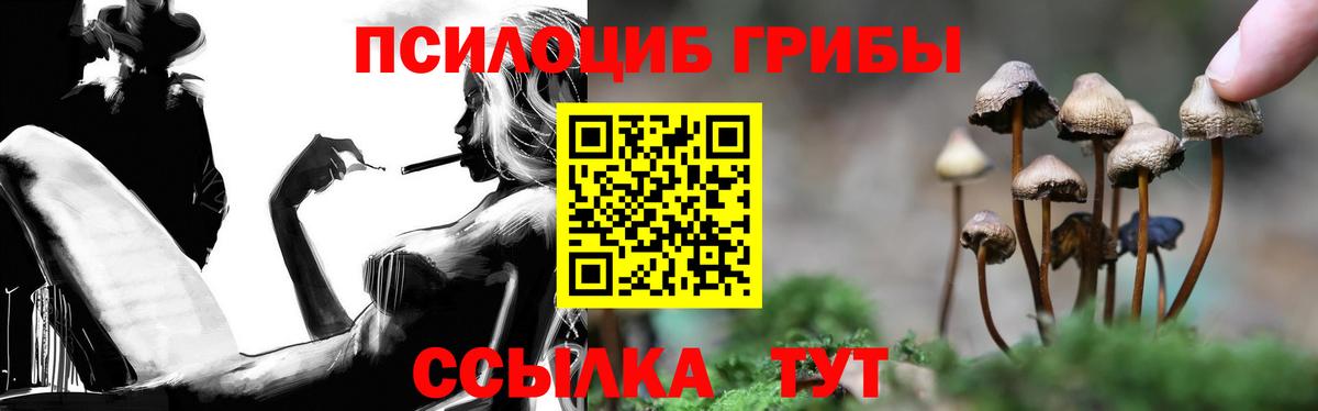 цены   Вход с VPN  Вичуга  Галлюциногенные грибы прущие грибы 